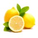 Limon Fidanı